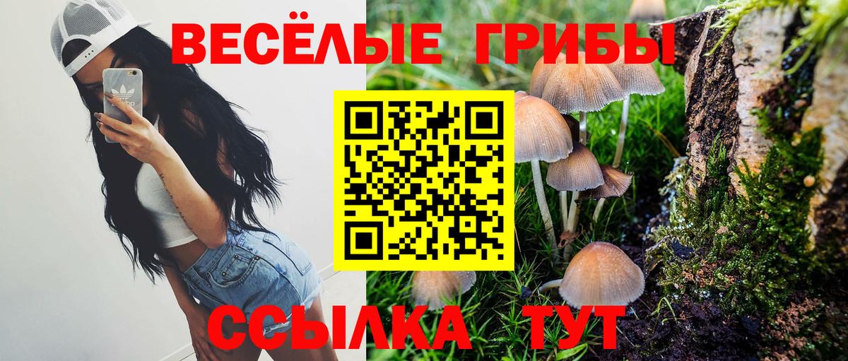 Псилоцибиновые грибы Magic Shrooms  Вход с VPN  Нягань  Галлюциногенные грибы Psilocybe 