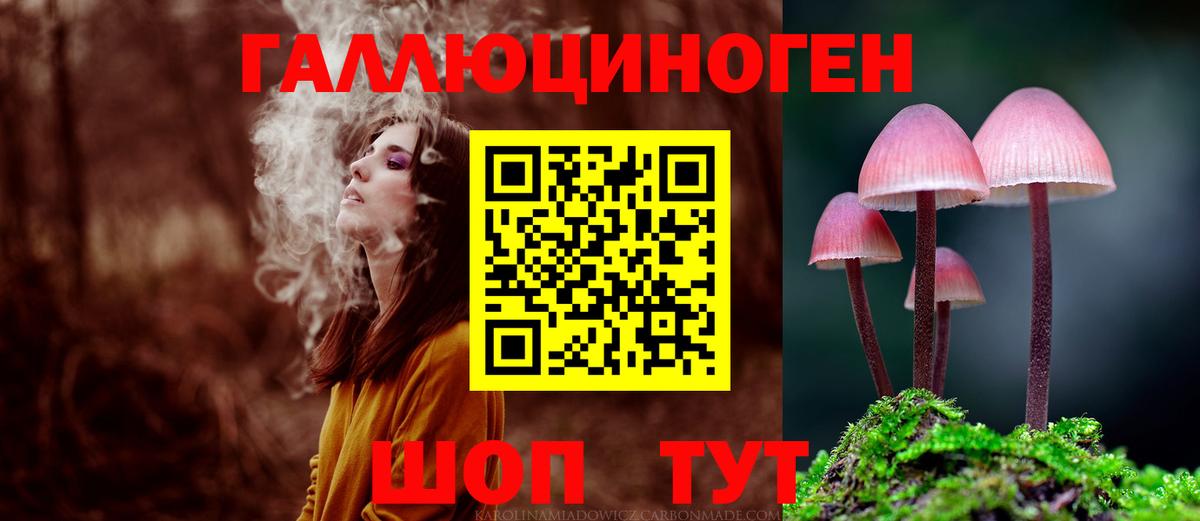 Галлюциногенные грибы Psilocybe Нягань